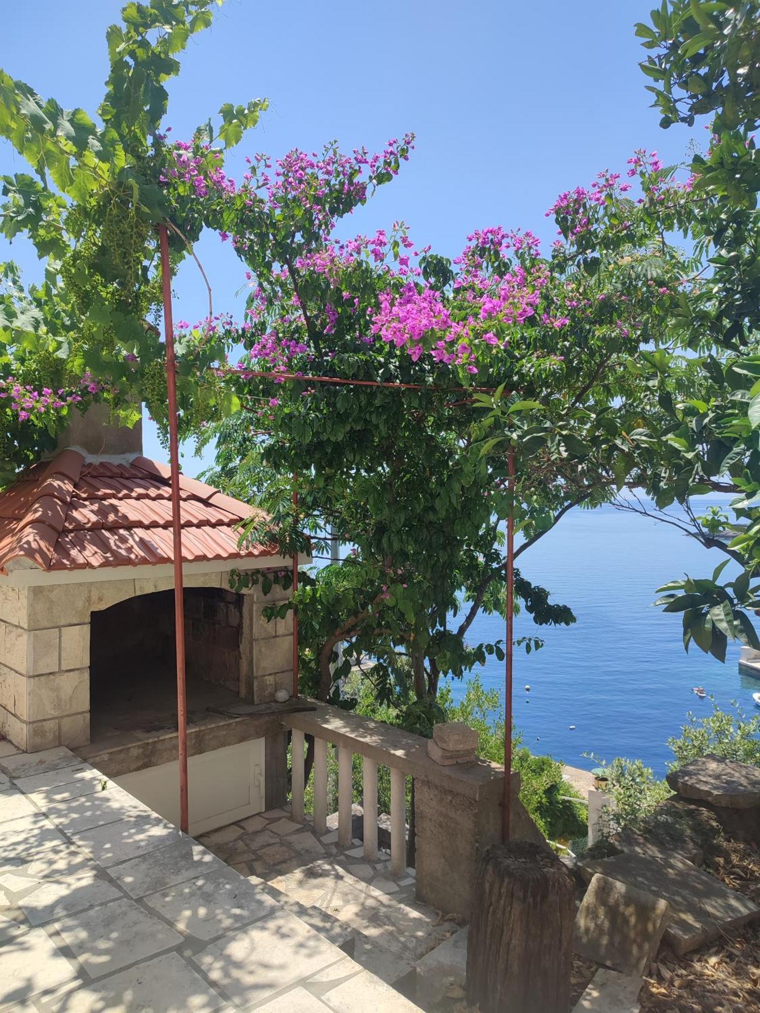 Apartments Laus Zavalatica Εξωτερικό φωτογραφία