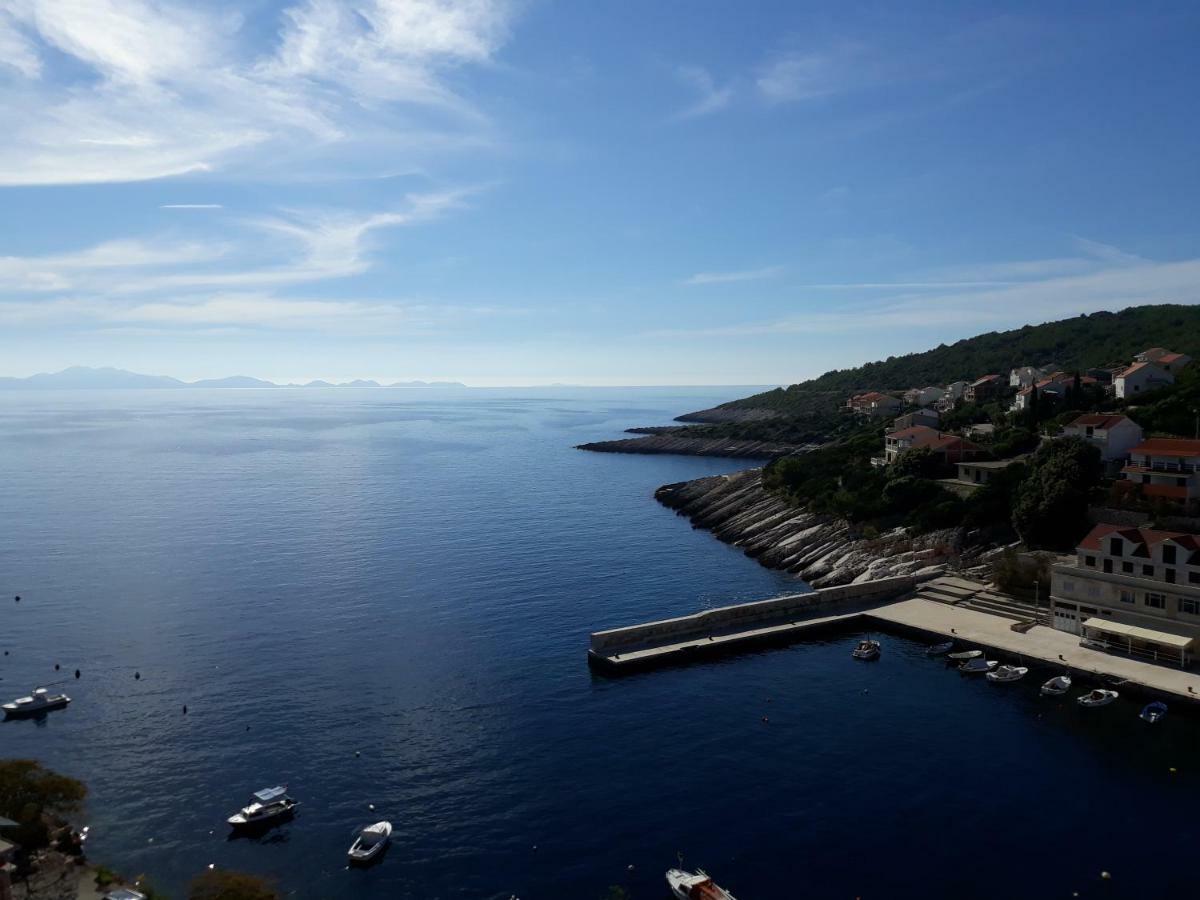 Apartments Laus Zavalatica Εξωτερικό φωτογραφία